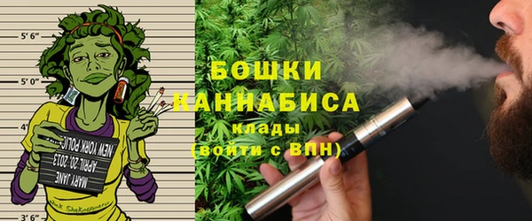 Альфа ПВП Аркадак