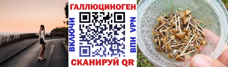 Псилоцибиновые грибы мицелий Петухово